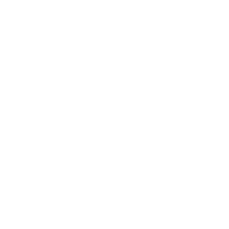 Blitz T Club Logo